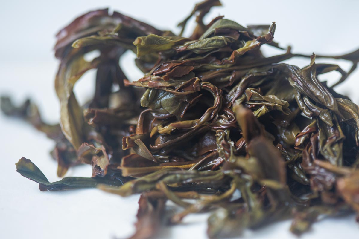 cream 2026 spring organic aofuhou dancong oolong 6 | BITTERLEAF TEAS