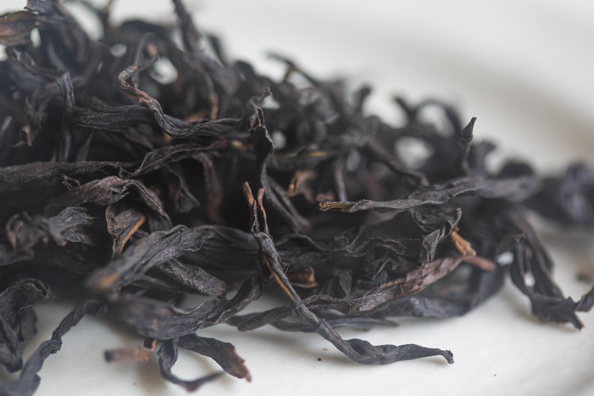 duck yeah 2026 spring yashi xiang dancong oolong 5 | BITTERLEAF TEAS