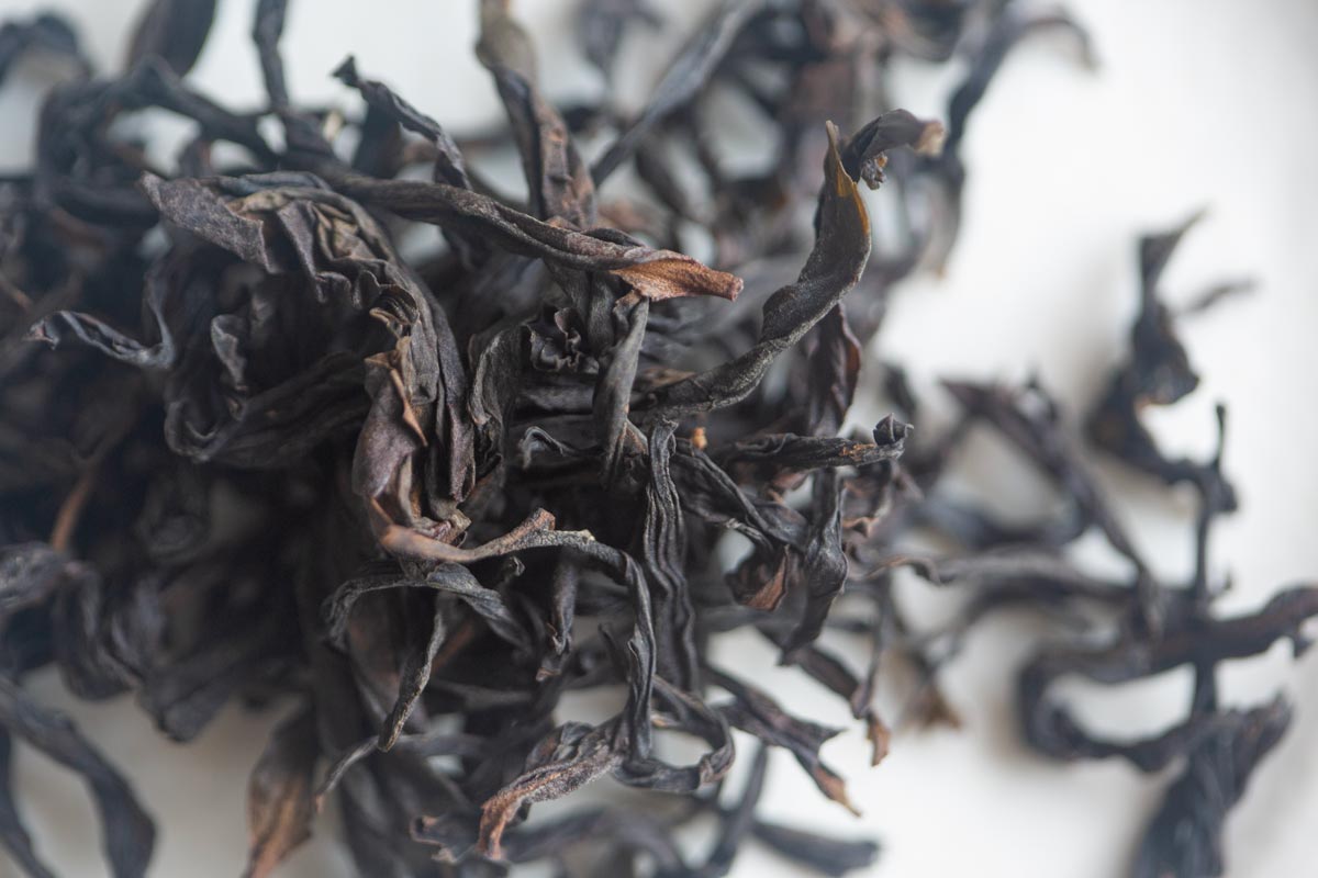 easy breezy 2026 spring yashi xiang dancong oolong 3 | BITTERLEAF TEAS