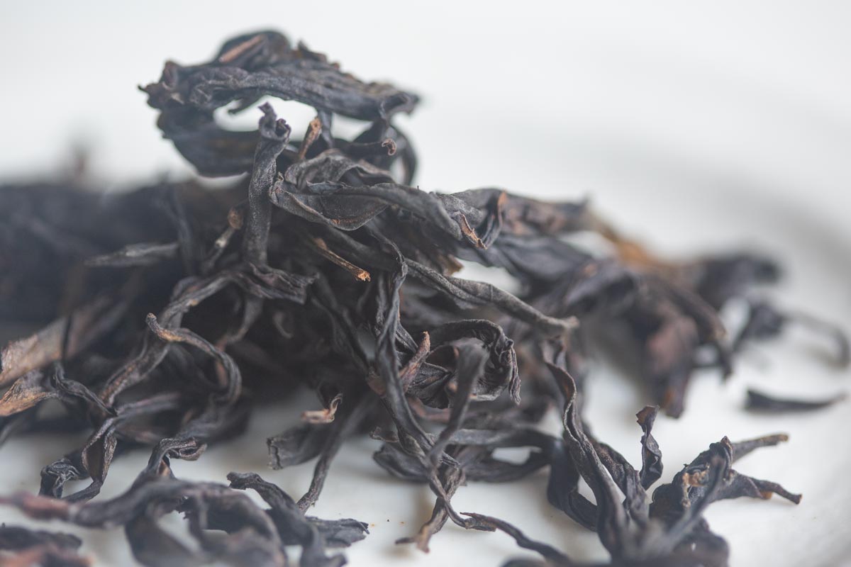 easy breezy 2026 spring yashi xiang dancong oolong 5 | BITTERLEAF TEAS