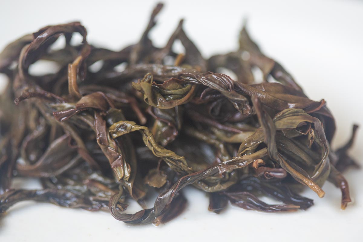 easy breezy 2026 spring yashi xiang dancong oolong 6 | BITTERLEAF TEAS