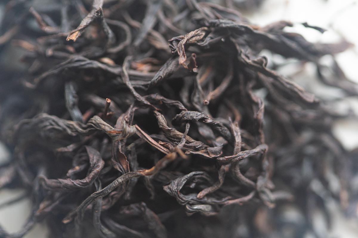 garden of the immortals 2026 spring pantao xiang dancong oolong 5 | BITTERLEAF TEAS