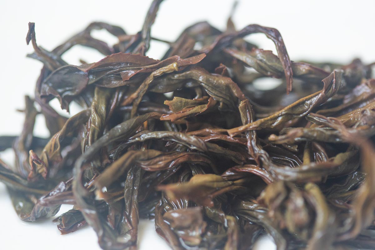 garden of the immortals 2026 spring pantao xiang dancong oolong 6 | BITTERLEAF TEAS