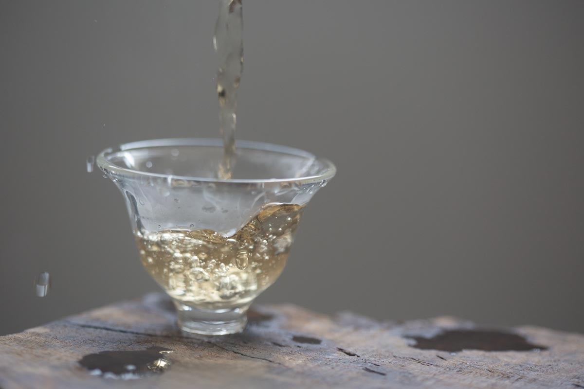 into the wild 2026 spring milan xiang dancong oolong 2 | BITTERLEAF TEAS