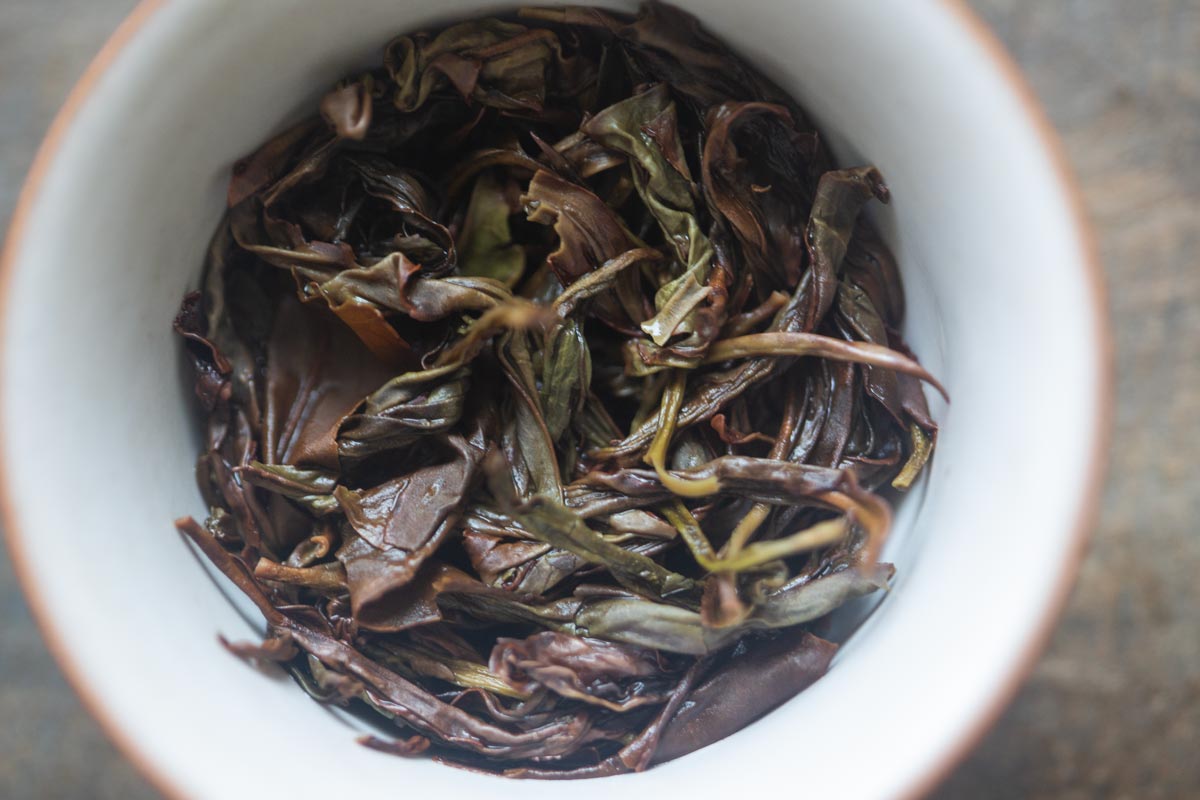 into the wild 2026 spring milan xiang dancong oolong 4 | BITTERLEAF TEAS