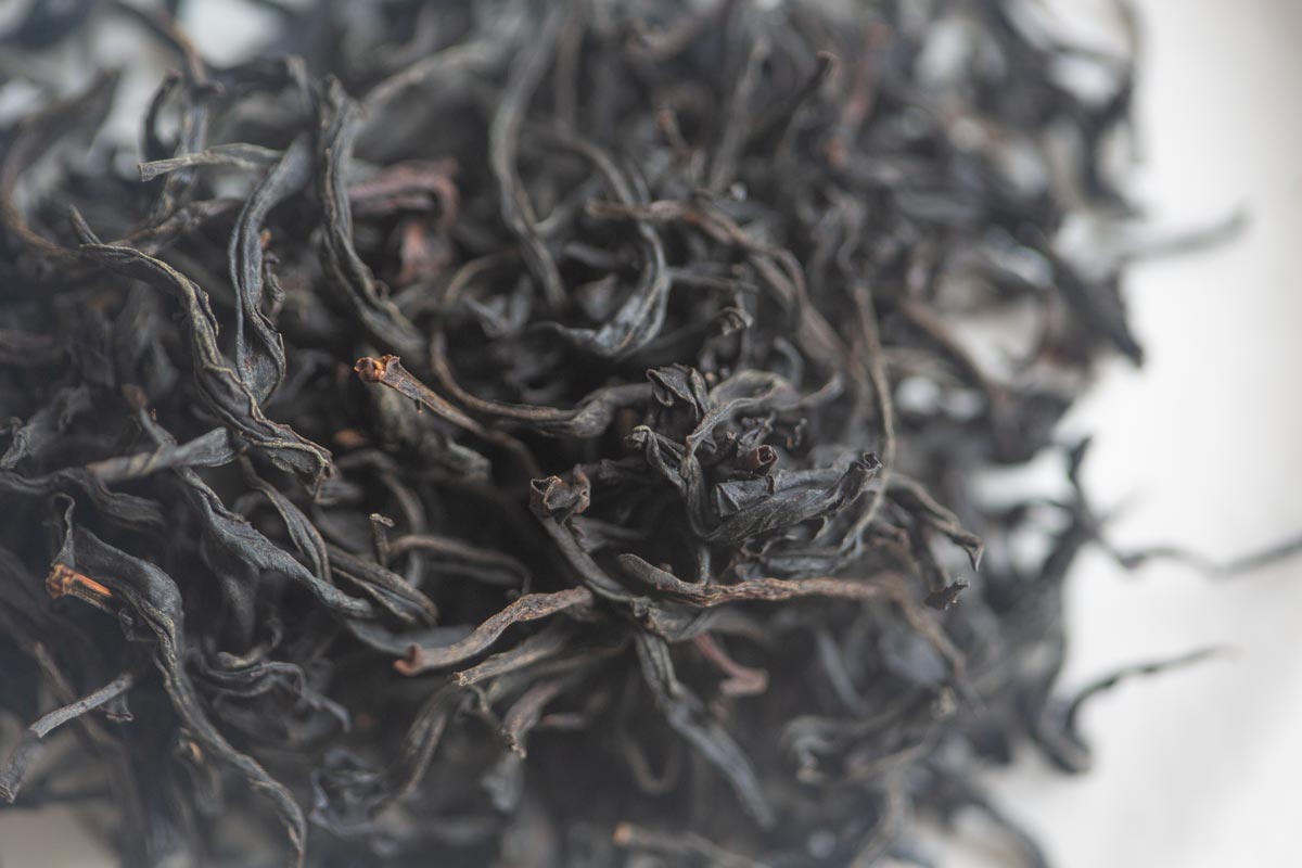milan overproof 2026 dancong black tea 3 | BITTERLEAF TEAS