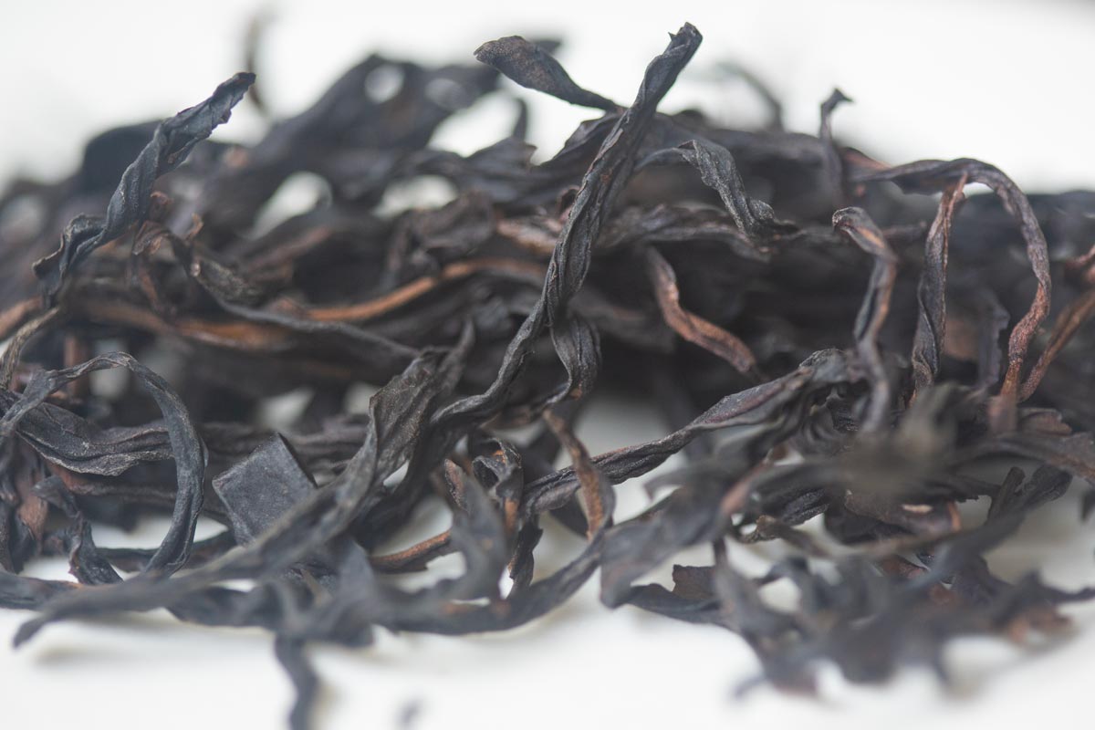 sip n vibe 2026 spring huangzhi xiang dancong oolong 3 | BITTERLEAF TEAS sip n vibe 2026 spring huangzhi xiang dancong oolong 3 | BITTERLEAF TEAS