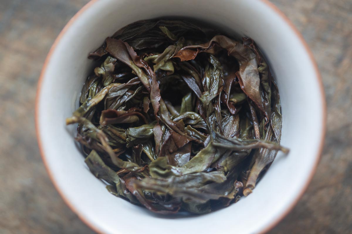 sip n vibe 2026 spring huangzhi xiang dancong oolong 4 | BITTERLEAF TEAS sip n vibe 2026 spring huangzhi xiang dancong oolong 4 | BITTERLEAF TEAS