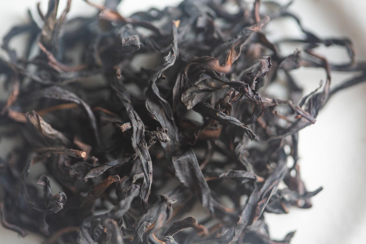 sip n vibe 2026 spring huangzhi xiang dancong oolong 5 | BITTERLEAF TEAS sip n vibe 2026 spring huangzhi xiang dancong oolong 5 | BITTERLEAF TEAS