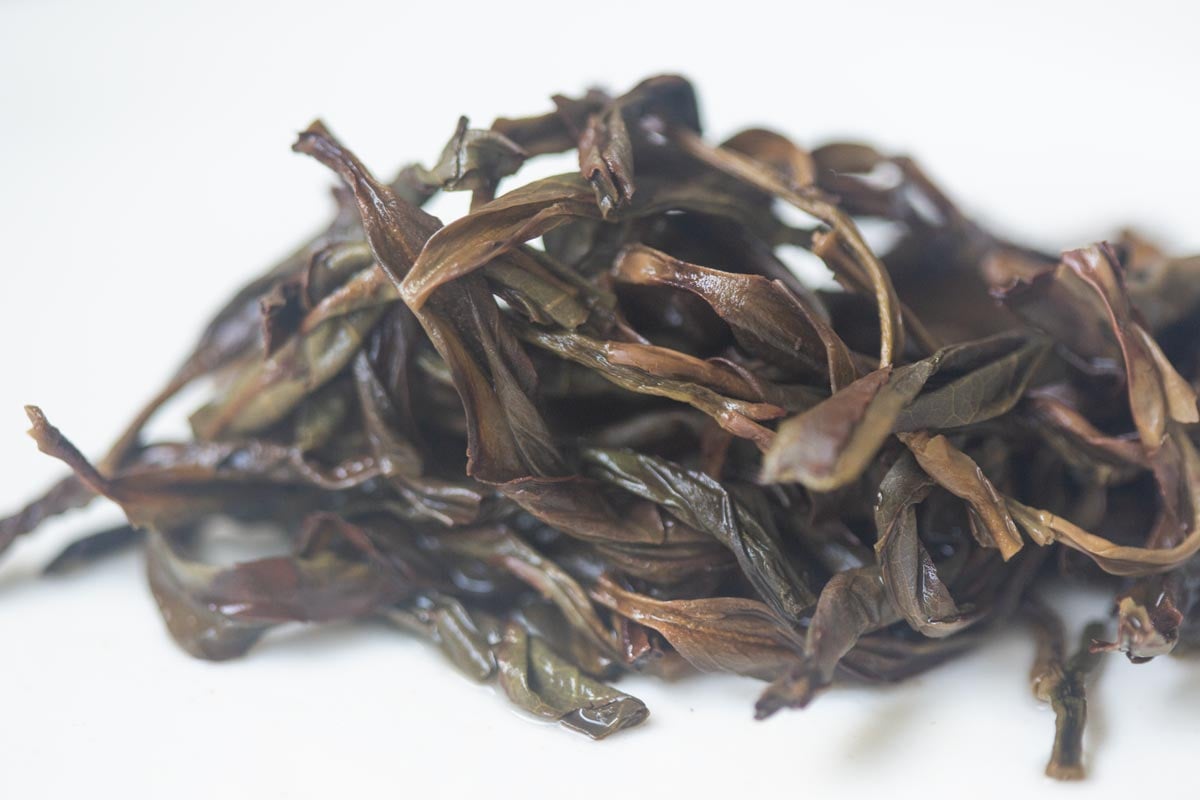 sip n vibe 2026 spring huangzhi xiang dancong oolong 6 | BITTERLEAF TEAS sip n vibe 2026 spring huangzhi xiang dancong oolong 6 | BITTERLEAF TEAS
