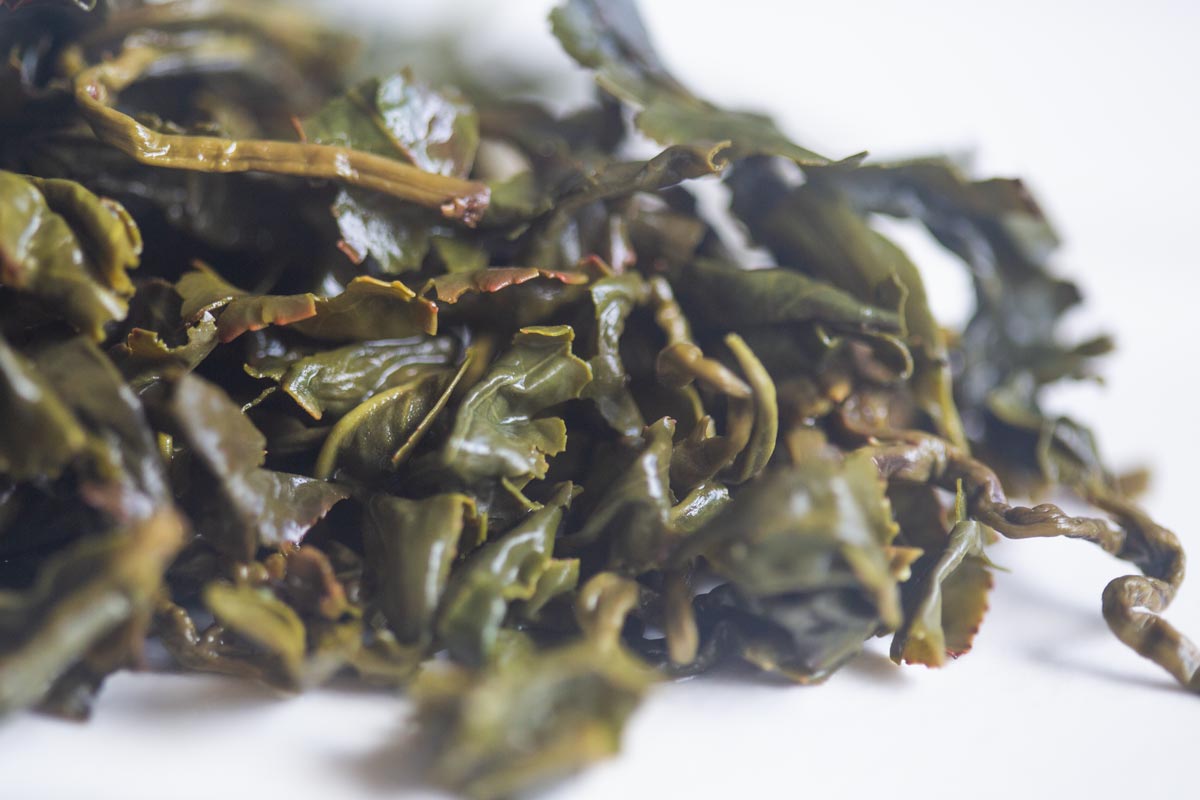 infinity 2026 spring gaoligong shan oolong dawn 4 | BITTERLEAF TEAS infinity 2026 spring gaoligong shan oolong dawn 4 | BITTERLEAF TEAS