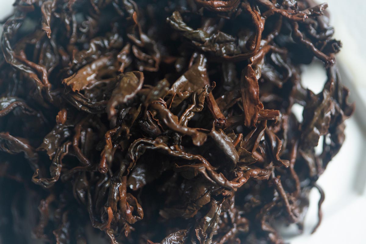 infinity 2026 spring gaoligong shan oolong dusk 4 | BITTERLEAF TEAS infinity 2026 spring gaoligong shan oolong dusk 4 | BITTERLEAF TEAS