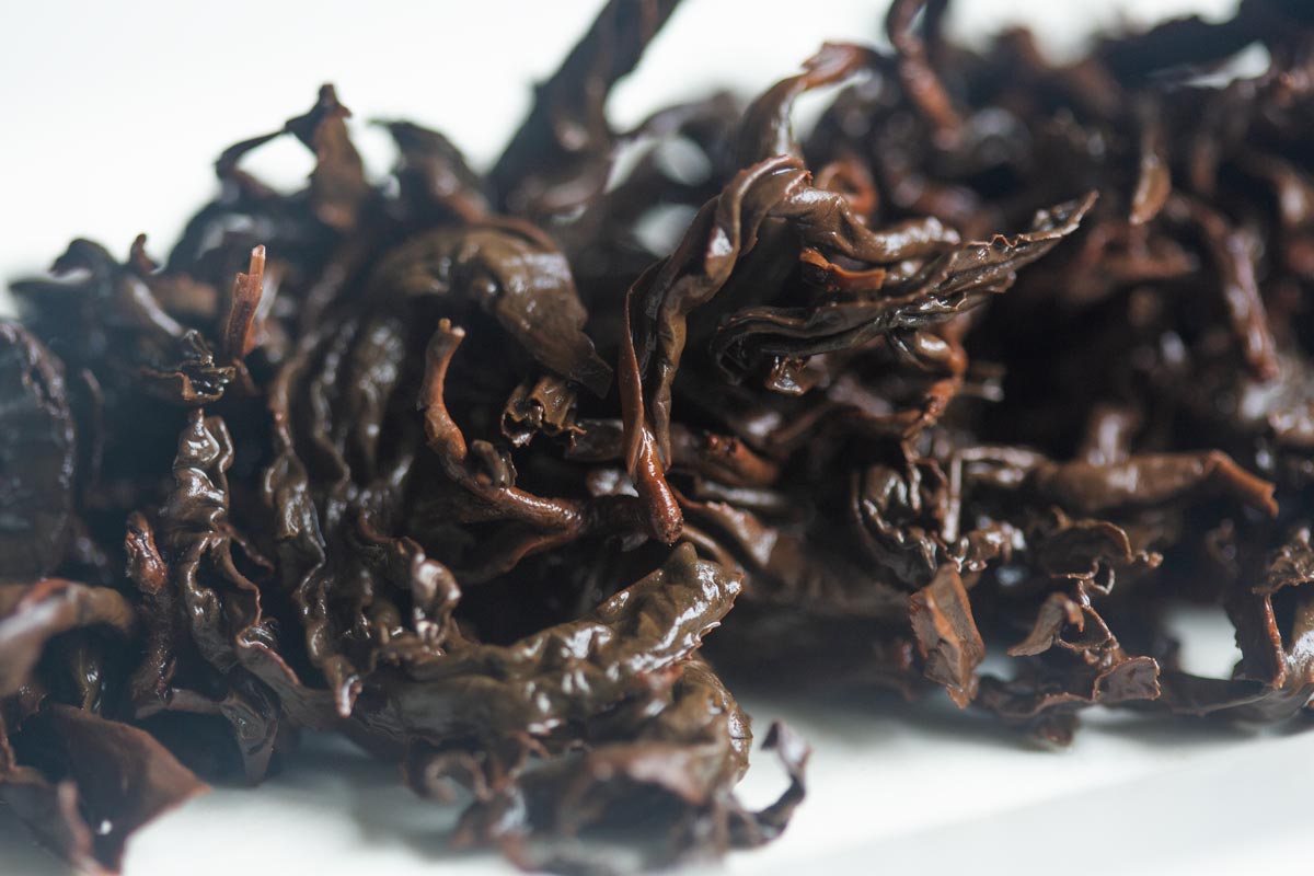 infinity 2026 spring gaoligong shan oolong dusk 8 | BITTERLEAF TEAS