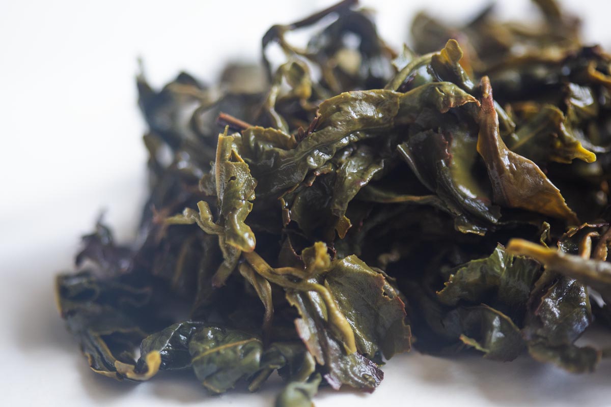 infinity 2026 spring gaoligong shan oolong meridian 8 | BITTERLEAF TEAS infinity 2026 spring gaoligong shan oolong meridian 8 | BITTERLEAF TEAS