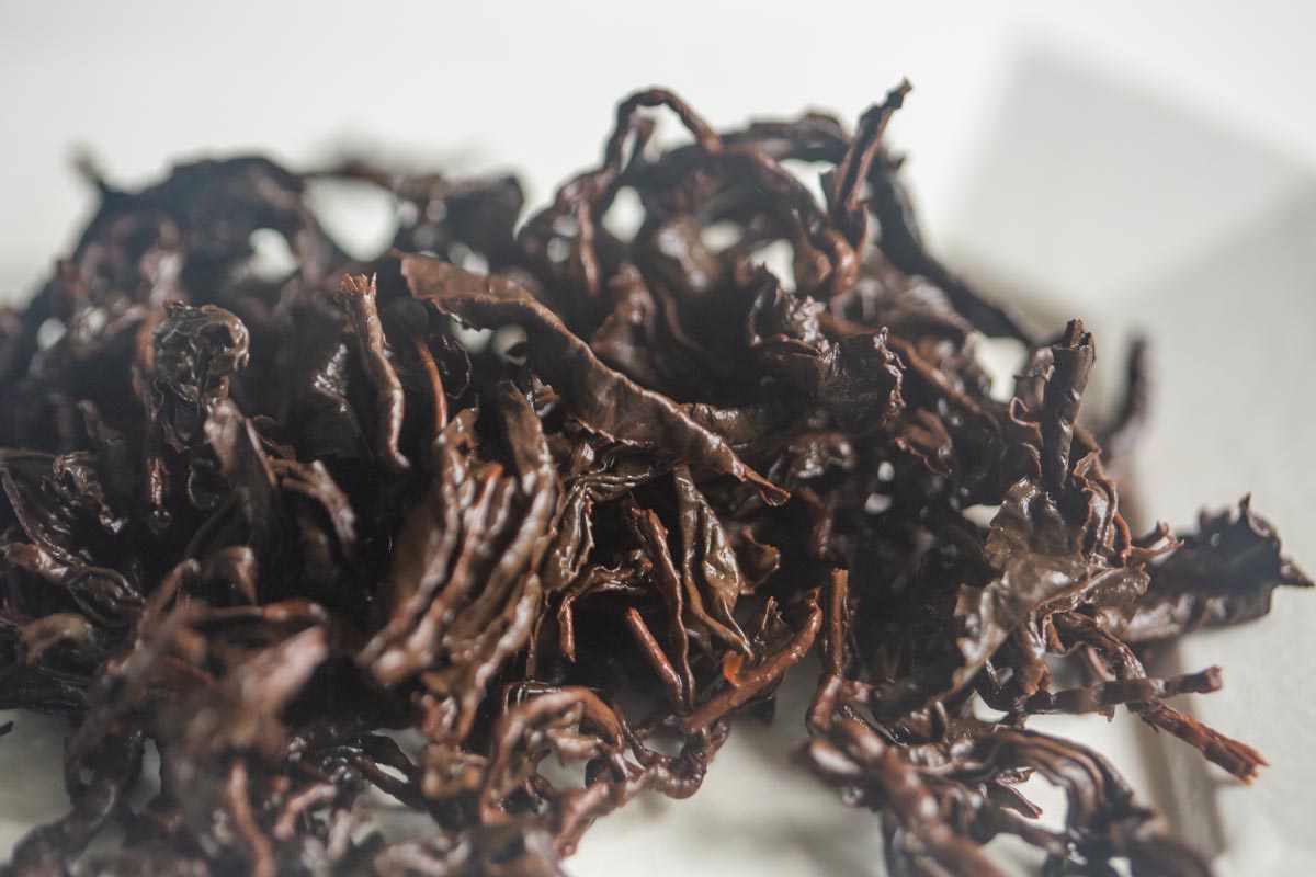 infinity 2026 spring gaoligong shan oolong nadir 4 | BITTERLEAF TEAS
