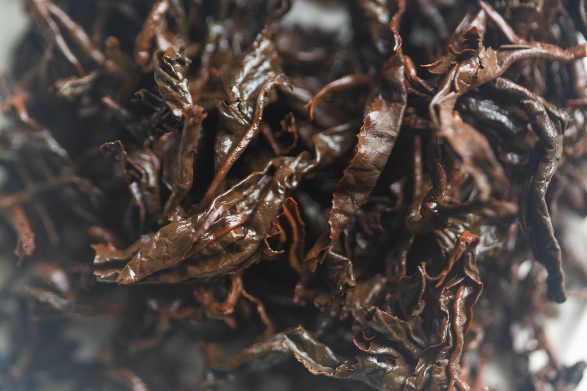 infinity 2026 spring gaoligong shan oolong nadir 8 | BITTERLEAF TEAS