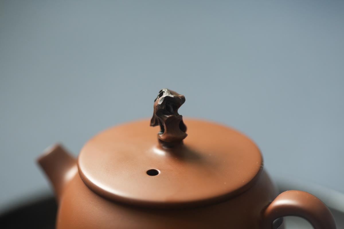 natural habitat jianshui zitao teapot cotton rosemallow 3 | BITTERLEAF TEAS