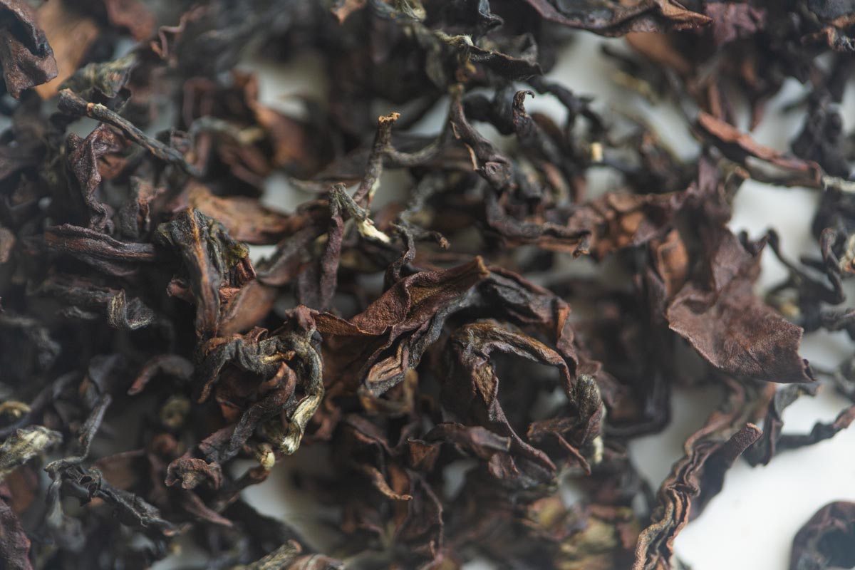 polka dots moonbeams 2026 simao dongfang meiren oolong 6 | BITTERLEAF TEAS