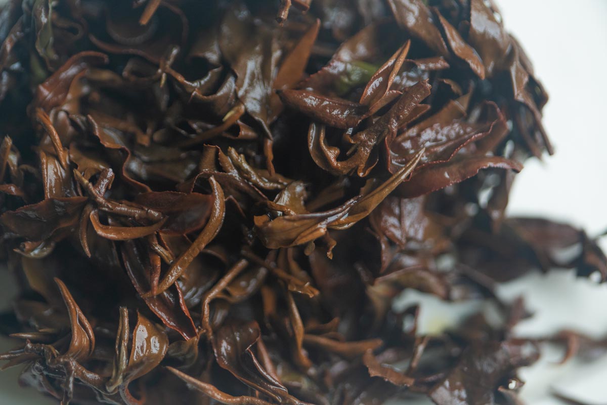 polka dots moonbeams 2026 simao dongfang meiren oolong 7 | BITTERLEAF TEAS