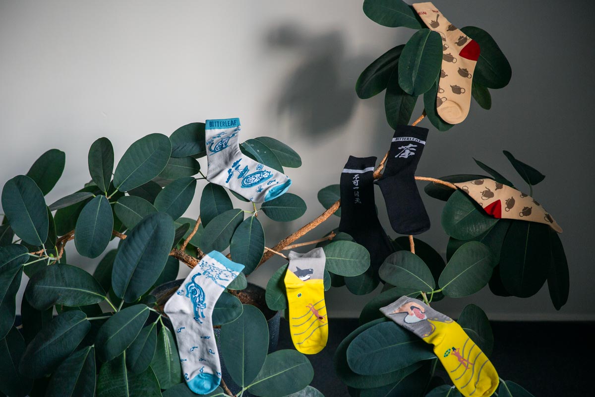 best foot forward socks 9 26 14 | BITTERLEAF TEAS