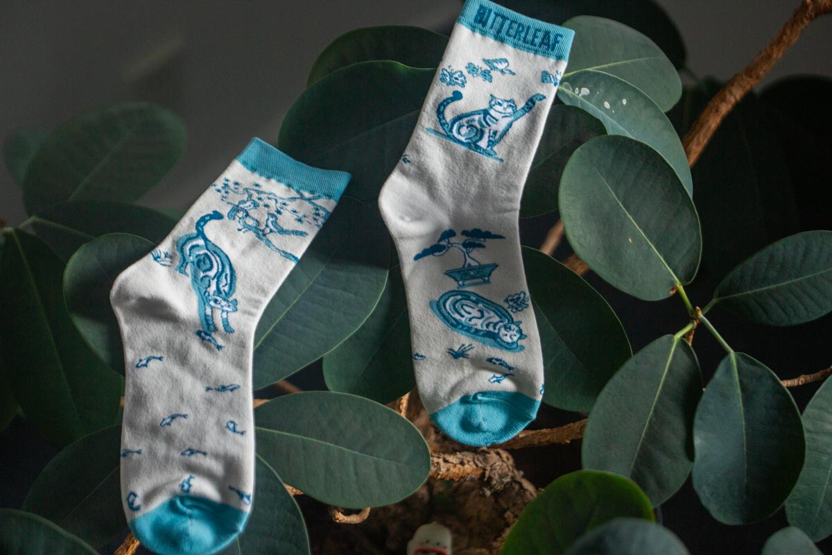 best foot forward socks 9 26 17 | BITTERLEAF TEAS