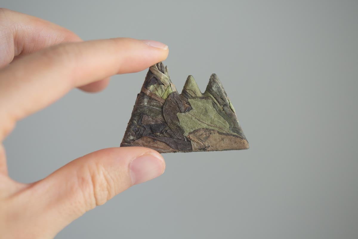 little mountain 2023 fuding shoumei white tea 9 26 2 | BITTERLEAF TEAS