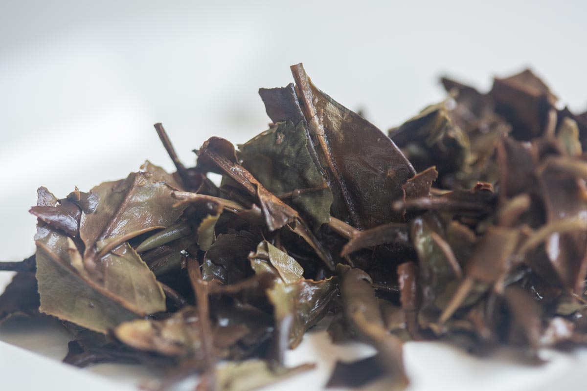 little mountain 2023 fuding shoumei white tea 9 26 6 | BITTERLEAF TEAS