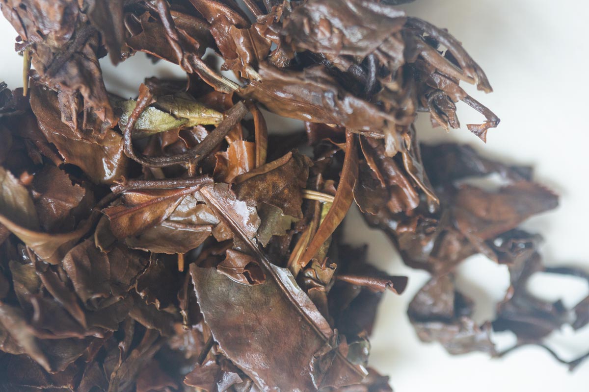 luxe calme et volupte 2026 spring nanben white tea 9 26 9 | BITTERLEAF TEAS luxe calme et volupte 2026 spring nanben white tea 9 26 9 | BITTERLEAF TEAS