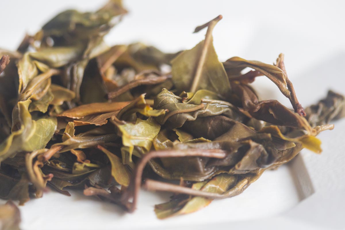 natural habitat white 2026 spring huazhuliangzi white tea 9 26 10 | BITTERLEAF TEAS