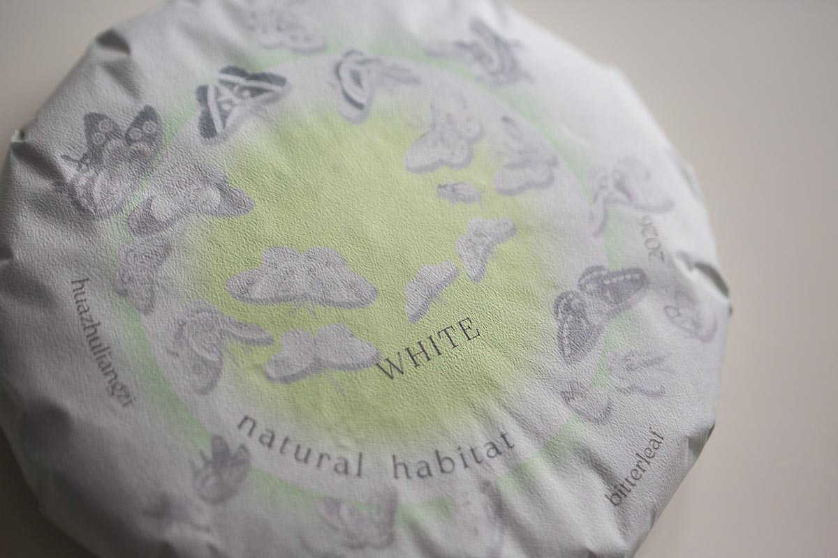 natural habitat white 2026 spring huazhuliangzi white tea 9 26 2 | BITTERLEAF TEAS