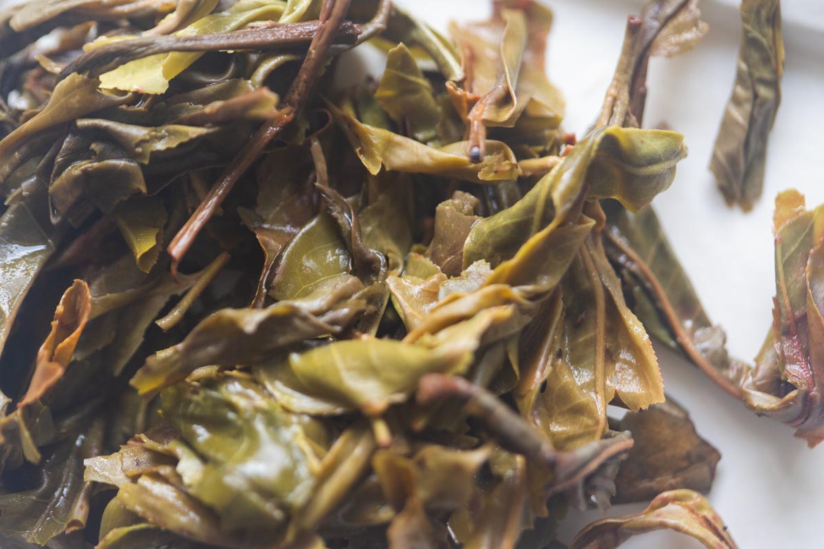 natural habitat white 2026 spring huazhuliangzi white tea 9 26 9 | BITTERLEAF TEAS