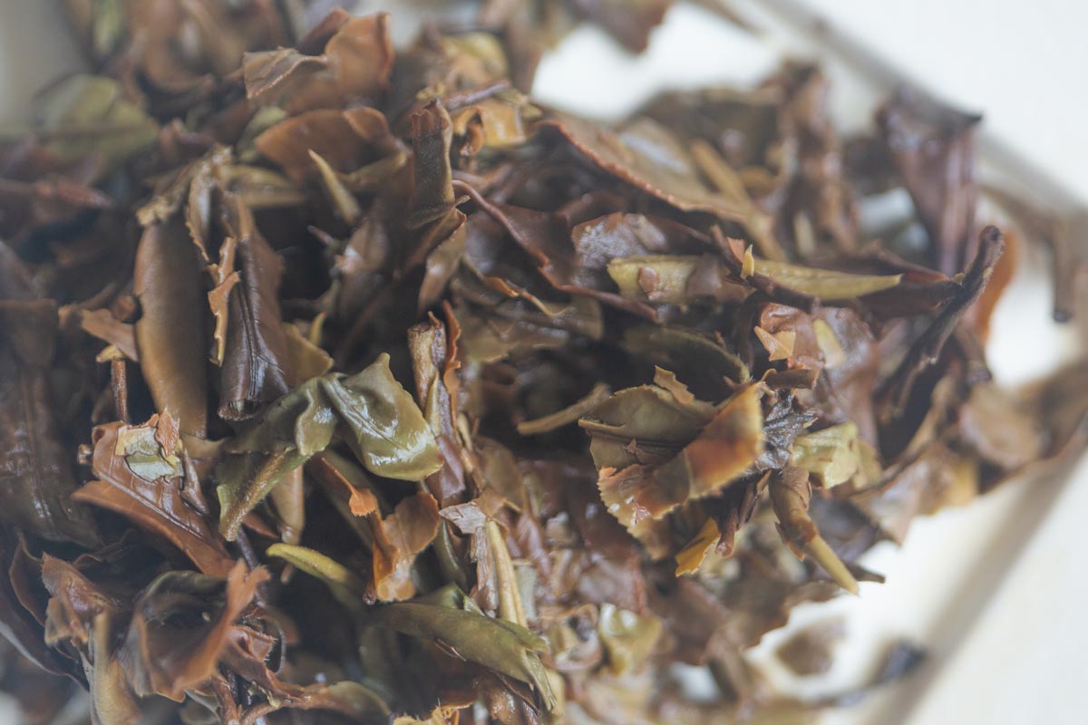 skinny dip 2026 spring ximeng organic white tea 9 26 9 | BITTERLEAF TEAS skinny dip 2026 spring ximeng organic white tea 9 26 9 | BITTERLEAF TEAS