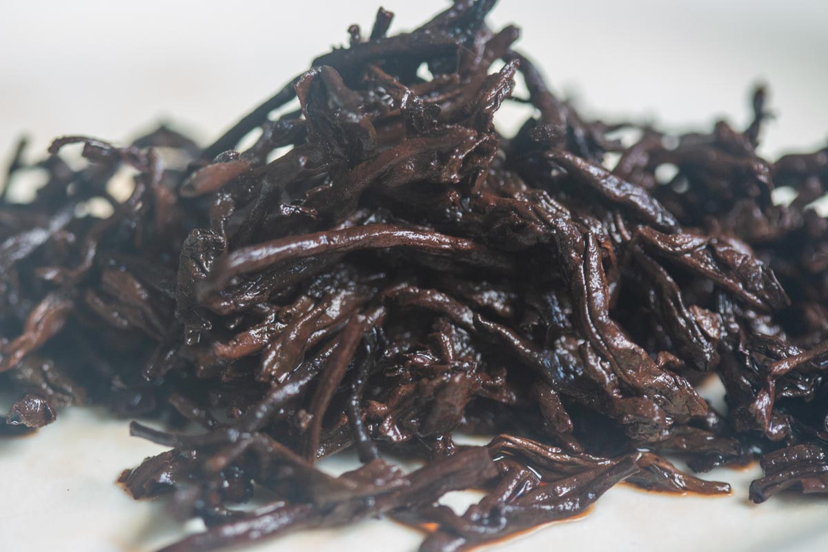 giant cookie 1st grade 2025 organic ripe puer 10 26 4 | BITTERLEAF TEAS