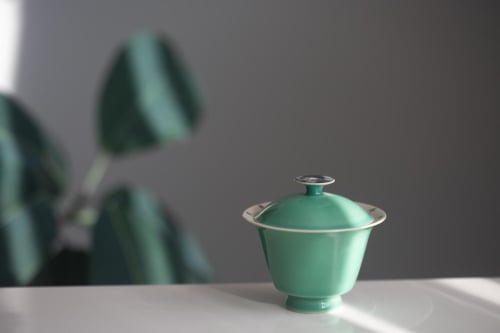Inside Out Gaiwan